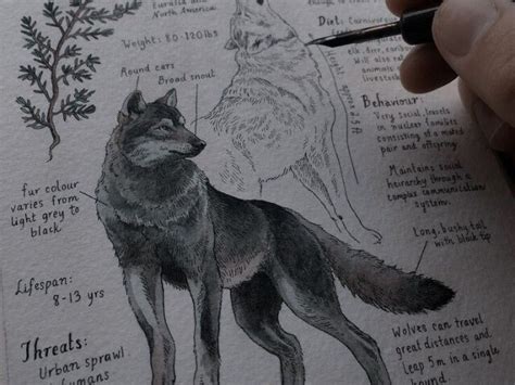 Quiz Omega, Beta e Alfa: Descubra seu Perfil e Ganhe Bônus Exclusivos!